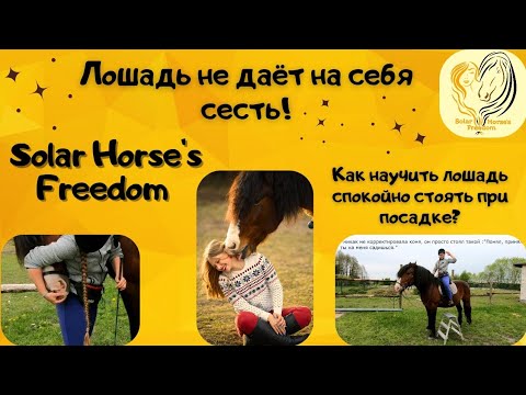 Видео: Лошадь не даёт на себя сесть! Часть2 Как научить лошадь стоять при посадке всадника?