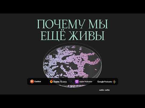 Видео: Зуб на зуб попадает: как мы научились лечить, исправлять и восстанавливать зубы | Почему мы еще живы