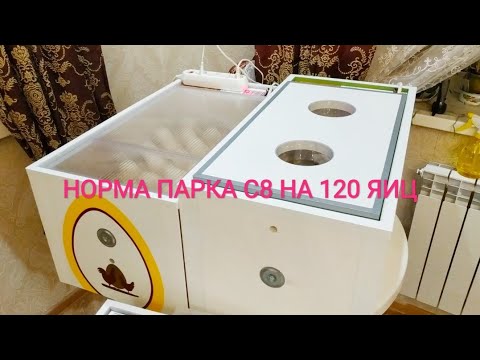 Видео: У МЕНЯ НОВЫЙ ИНКУБАТОР Норма Парка с8 на 120яиц ❗
