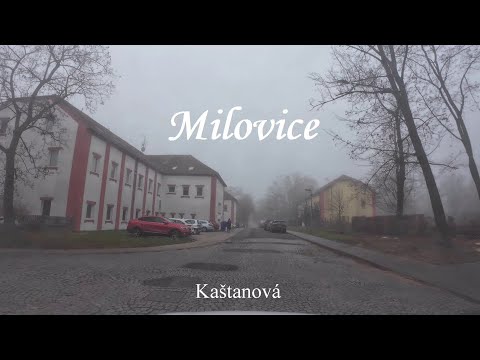 Видео: Milovice v mlze, zima 2024. ЦГВ Чехия - Миловице в тумане зимой 2024.