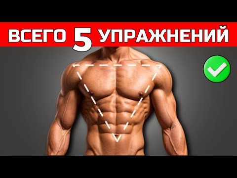 Видео: КАК СОЗДАТЬ ИДЕАЛЬНОЕ V ОБРАЗНОЕ МУЖСКОЕ ТЕЛО (ВСЕГО 5 УПРАЖНЕНИЙ!)