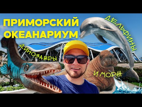 Видео: ОКЕАНАРИУМ ПРИМОРЬЯ - ЭКСКУРСИЯ В МИР МОРЕЙ | ДЕЛЬФИНАРИЙ ВЛАДИВОСТОК