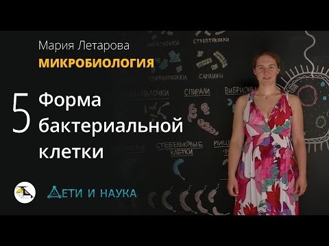 Видео: 5. Форма бактериальной клетки. Микробиология 10 - 11 класс