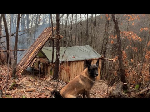Видео: Одиночный поход по выживанию в лесу, кулинария, звуки природы, приключенческий документальный фильм