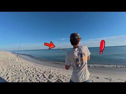 Видео: Эта вкусная РЫБА была выловлена ​​прямо с пляжа!