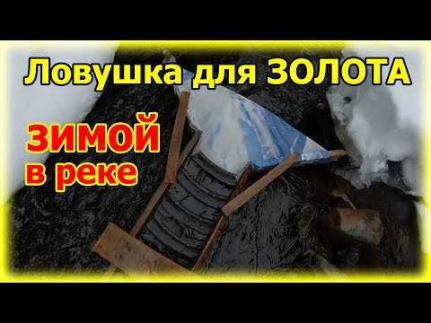 Видео: УСТАНОВИЛ в реке ЛОВУШКУ для ЗОЛОТА