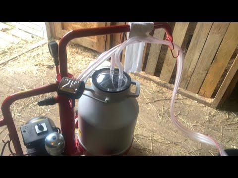 Видео: Купила доильный аппарат для коровы. Как пользоваться доильным аппаратом?