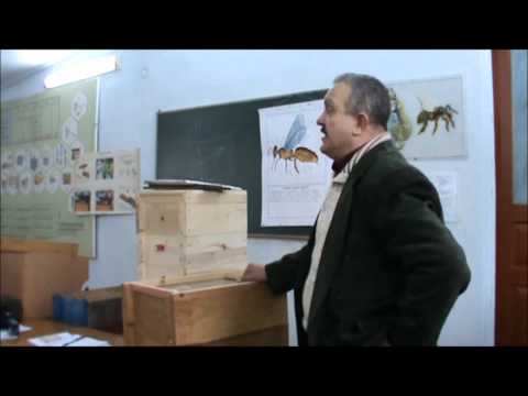 Видео: для чого був створений вулик паливоди