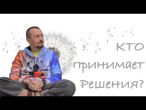 Видео: -"Кто принимает решение"? • Андрей Тирса