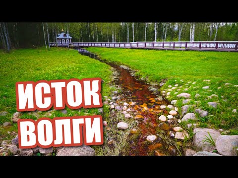 Видео: Исток Волги: туда, где всё начинается