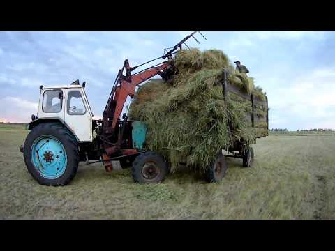 Видео: ЗАГОТОВКА СЕНА 2018! Юмз 6+ Мтз 892