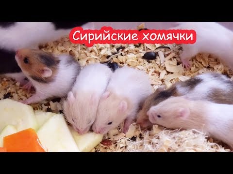 Видео: Только открыли глазки