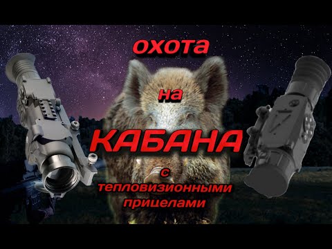 Видео: Охота на Кабана. Дальний выстрел ночью c 308Win!