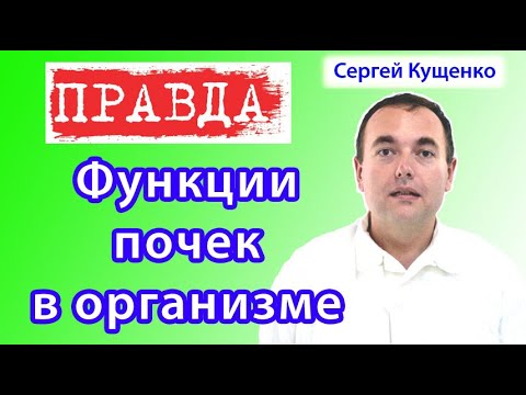 Видео: Функции почек в организме человека