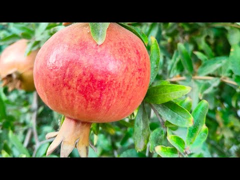 Видео: Рукодельный влог. Сентябрь 2025г. 