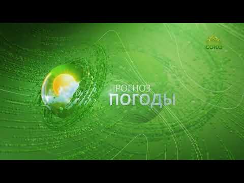 Видео: Прогноз погоды на 13 ноября 2025