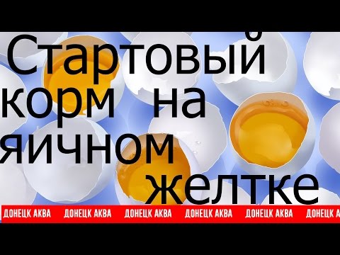 Видео: Amazing idea, Стартовый корм на яичном желтке, How to make fish food, cómo hacer alimento para peces