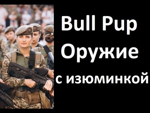 Видео: Буллпап История