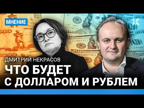 Видео: Доллар ушел с биржи. Надо ли закупать валюту. Что будет с рублем и ценами — экономист НЕКРАСОВ