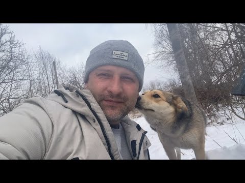 Видео: Уникальная находка с дядь Серегой. Икона 19 века.