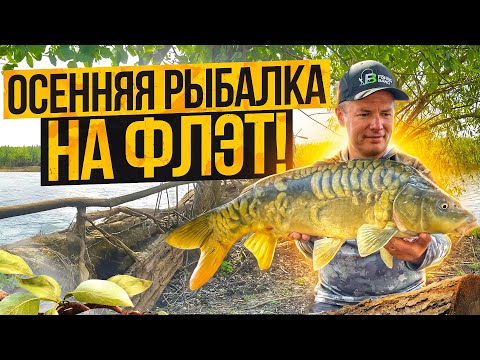 Видео: РЫБАЛКА НА ФЛЭТ ОСЕНЬЮ!