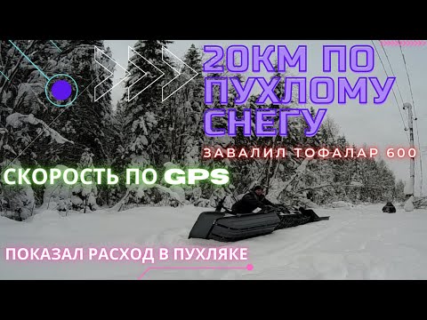 Видео: ТОФАЛАР 600. 20КМ по ПУХЛОМУ снегу. Скорость по GPS, РАСХОД.