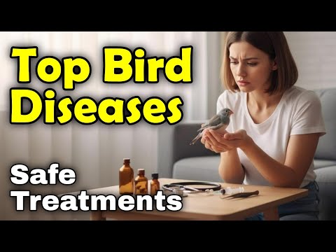 Видео: Основные болезни домашних птиц и методы их безопасного лечения | Руководство по уходу за домашним...