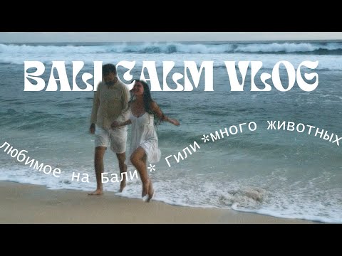 Видео: БАЛИ: ЛУЧШИЕ МЕСТА / ВОДОПАДЫ / ГИЛИ / МНОГО ЧЕРЕПАХ ДЕЛЬФИНОВ И ДР ЖИВОТНЫХ / СЕВЕР ОСТРОВА