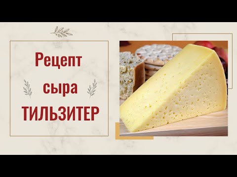 Видео: Тильзитер