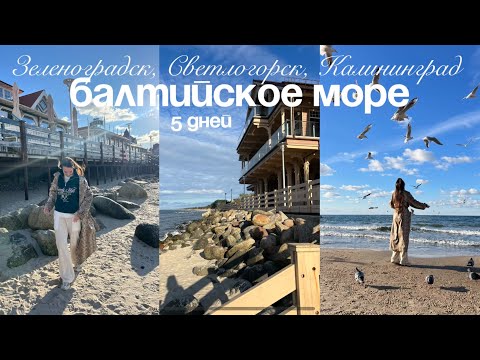 Видео: 5 дней на БАЛТИЙСКОМ МОРЕ: Стоит ли ехать? | Зеленоградск, Светлогорск, Калининград | VLOG 3 