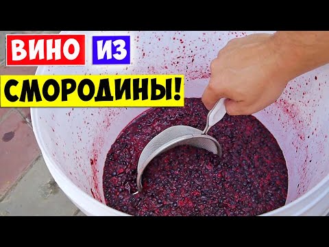 Видео: ВИНО из СМОРОДИНЫ! САМЫЙ ПРОСТОЙ РЕЦЕПТ!!!