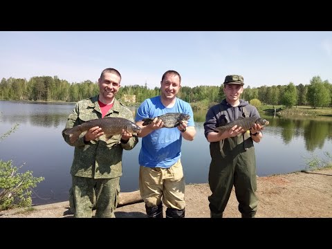 Видео: Что выбрать новичку? Фидер, Поплавок, Спиннинг? Личное мнение.