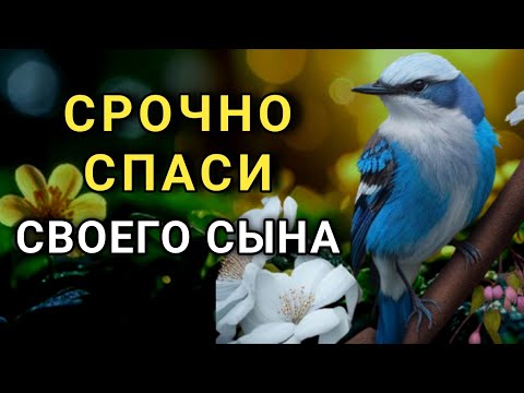 Видео: ✨Повторите эту молитву и ваш СЫН будет под защитой! Лучшие молитвы, слушать минимум один раз в день🤲