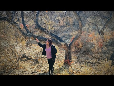 Видео: Река Или - Чунджа горячие источники - река Чарын, 24-26.10.25 #travel 