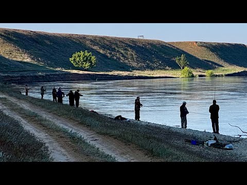 Видео: ЗАЛЕЗ в ТОЛПУ МУЖИКОВ, ЧУТЬ П%3дЫ НЕ ПОЛУЧИЛ. Рыбалка на ВОЛГЕ! Приключения в Волгограде часть 1