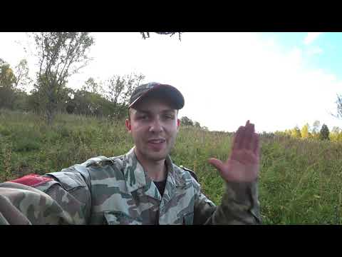 Видео: САДЫ ПОЛНЫ ЯБЛОК! КТО ЖЕ ПРИШЕЛ НА ЯБЛОКИ В ЛЕСУ!?