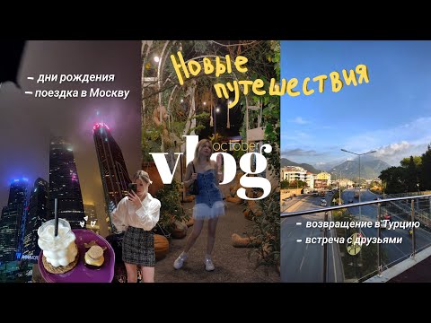 Видео: влог: я снимала весь октябрь и вот что из этого вышло