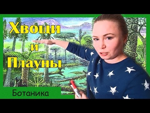 Видео: Хвощи и плауны. Споровые растения. Подготовка к ЕГЭ по биологии.