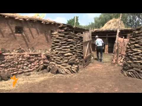 Видео: Алайкуу: Тоодо торолгондор