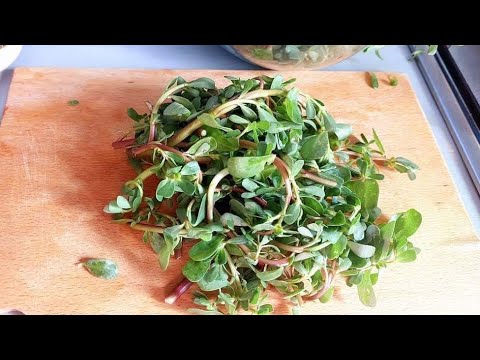 Видео: Это так вкусно и дешево! ПОРТУЛАК 4 рецепта. Эти блюда побьют все рекорды!