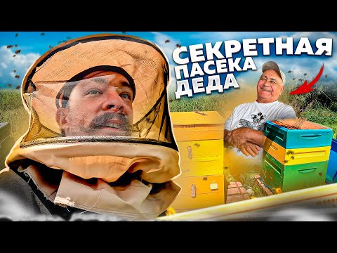 Видео: БЛУД НА СЕКРЕТНОЙ ПАСЕКЕ ДЕДА