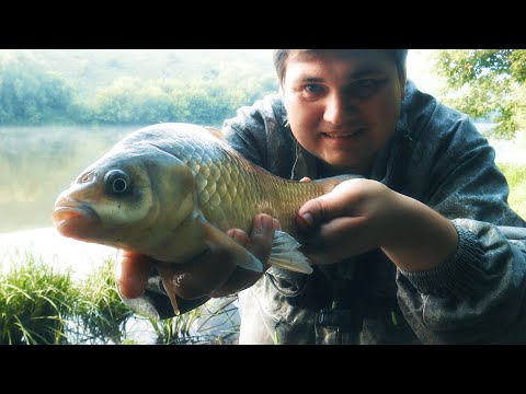 Видео: Рыбалка на фидер на притоке Дона реке Быстрая Сосна. Бесклевый июнь 2024