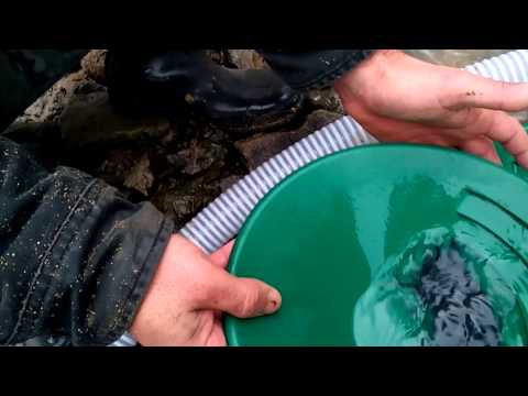 Видео: Злато на плажа в България!