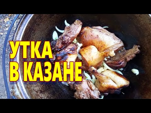 Видео: УТКА В КАЗАНЕ НА КОСТРЕ ! Жизнь в Деревне !