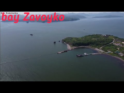 Видео: бух.Завойко