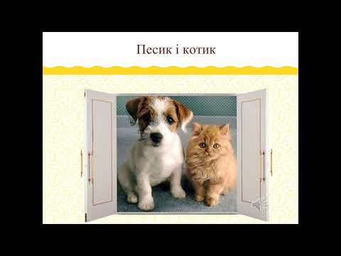 Видео: Урок доброти "Щаслива лапа" старший дошкільний вік