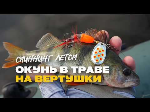 Видео: Ловля Окуня в Траве на Вертушки Lucky John Летом Рыбалка на Спиннинг