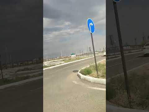 Видео: 12 августа 2025 г.