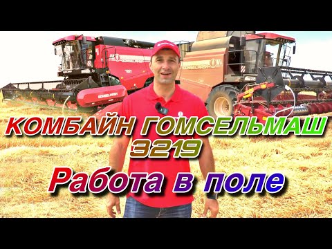 Видео: Комбайн Гомсельмаш 3219. Работа в поле. #Гомсельмаш #уборочная #гибридныйкомбайн #Беларусскаятехника