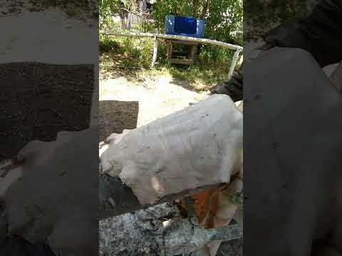 Видео: выделка сыромятной кожи в домашних условиях